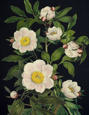 Blooming Flowers Journal image number 0