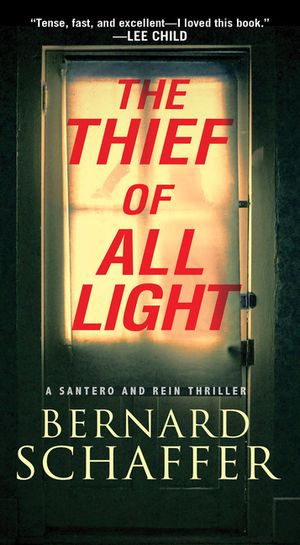 The Thief of All Light image number 0