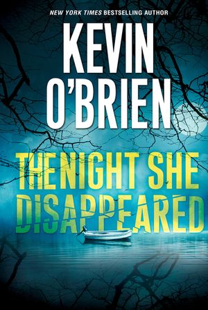 The Night She Disappeared image number 0