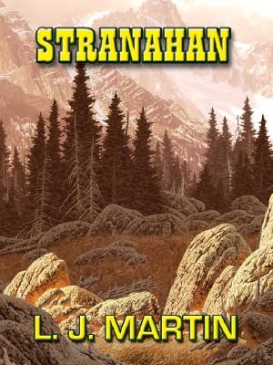 Stranahan image number 0