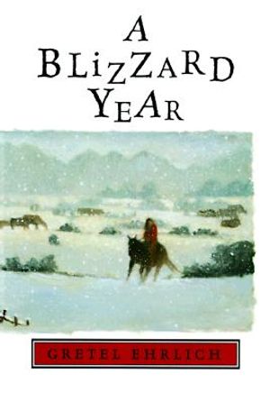 A Blizzard Year image number 0
