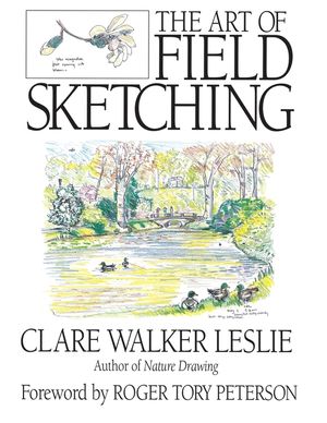 Field Sketching image number 0