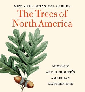 The Trees of North America: Michaux and Redout&eacute;'s American Masterpiece (Tiny Folio) image number 0