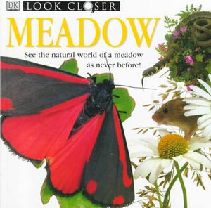 Meadow image number 0