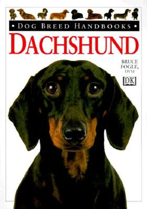 Dachshund image number 0