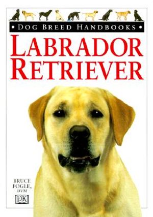 Labrador Retriever image number 0