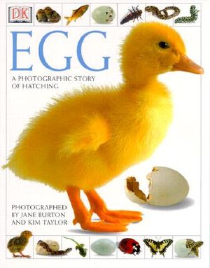 Egg: A Photographic Story of Hatching image number 0