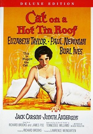 Cat on a Hot Tin Roof image number 0