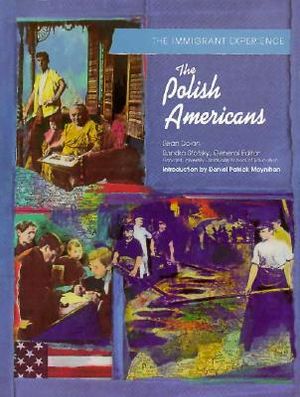 Polish Amer (IMM Exp) (Pbk) (Oop) image number 0