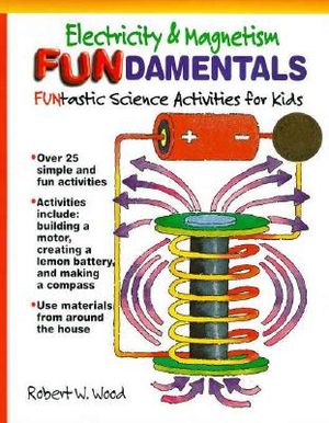 Electricity & Magnetism Fundam (Z) image number 0