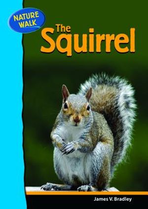 The Squirrel image number 0
