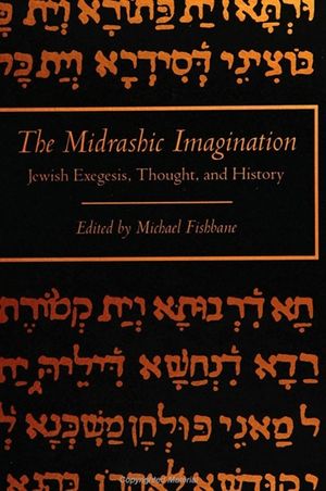 The Midrashic Imagination: Jewish Exegesis, Thought, and History image number 0