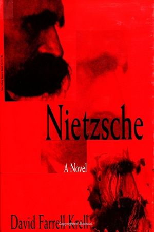 Nietzsche image number 0