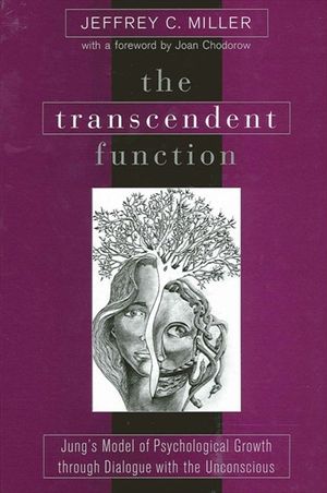 The Transcendent Function image number 0