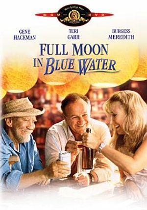 Full Moon in Blue Water image number 0