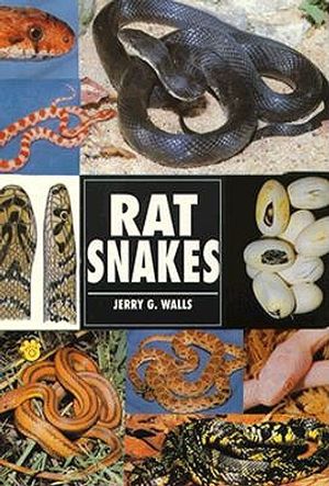 Rat Snakes image number 0