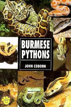 Burmese Pythons image number 0