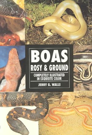 Rosy and Ground Boas image number 0
