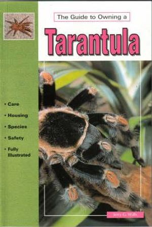 The Guide to Owning a Tarantula image number 0