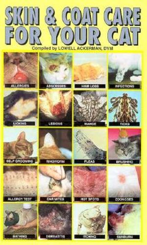 Skin and Coat Care for Cats image number 0