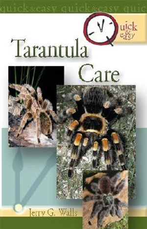 Tarantula Care image number 0
