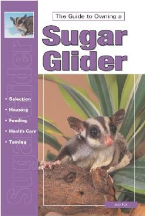The Guide to Owning a Sugar Glider image number 0