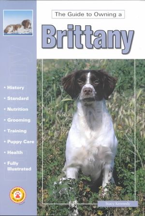 The Guide to Owning a Brittany image number 0