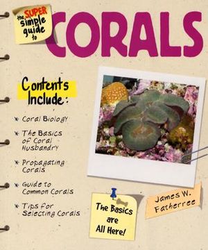The Super Simple Guide to Corals image number 0