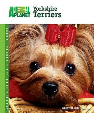 Yorkshire Terriers image number 0