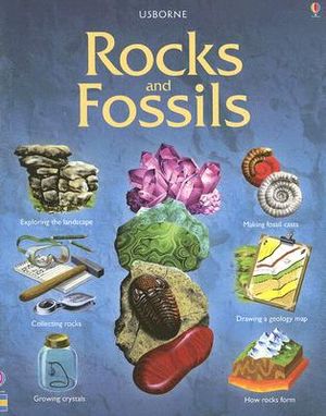 Rocks and Fossils image number 0