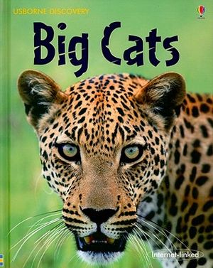 Big Cats image number 0