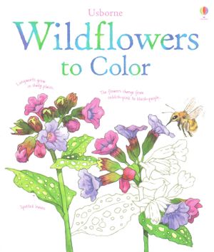Wildflowers to Color image number 0