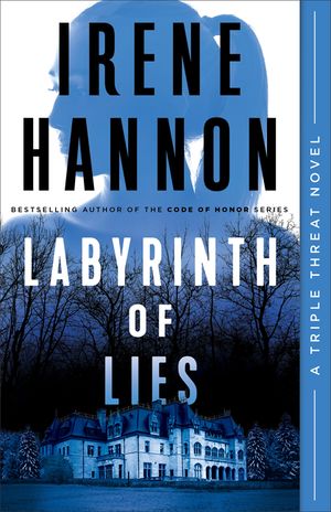 Labyrinth of Lies image number 0