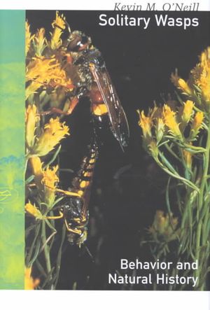 Solitary Wasps image number 0