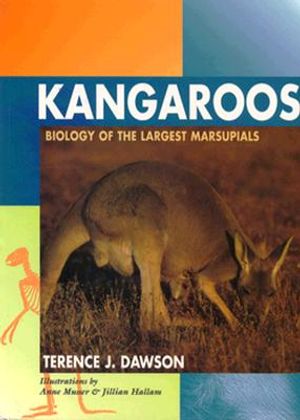 Kangaroos: Biology of the Largest Marsupials image number 0