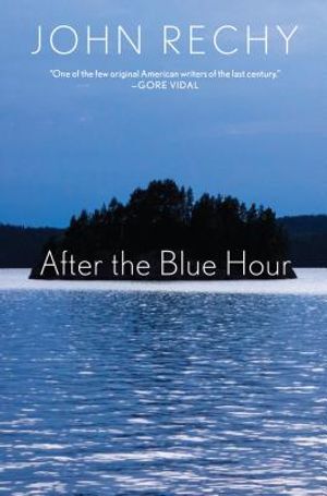 After the Blue Hour image number 0