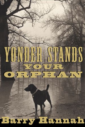 Yonder Stands Your Orphan image number 0