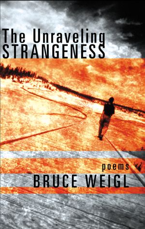 The Unraveling Strangeness: Poems image number 0