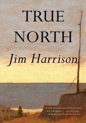 True North image number 0