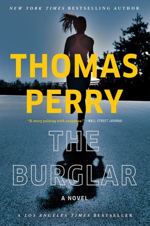 The Burglar image number 0