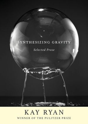 Synthesizing Gravity: Selected Prose image number 0
