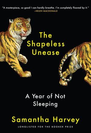 The Shapeless Unease: A Year of Not Sleeping image number 0