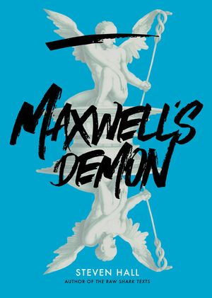 Maxwell's Demon image number 0