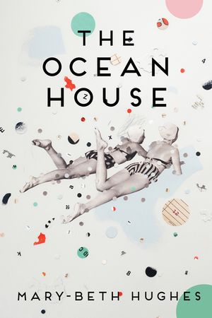 The Ocean House: Stories image number 0
