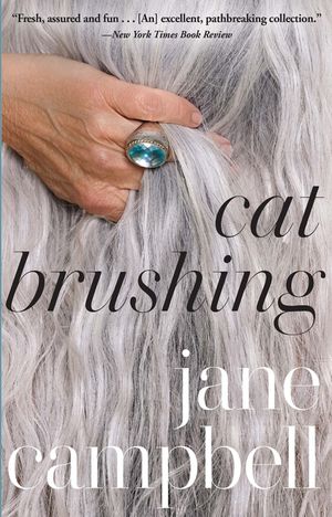 Cat Brushing image number 0