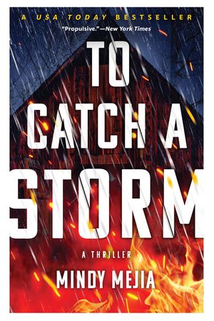 To Catch a Storm image number 0