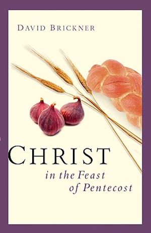 Christ in the Feast of Pentecost image number 0