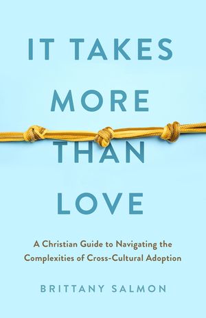 It Takes More Than Love: A Christian Guide to Navigating the Complexities of Cross-Cultural Adoption image number 0
