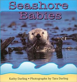 Seashore Babies image number 0