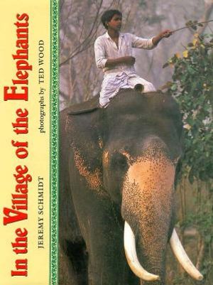 In the Village of the Elephants image number 0